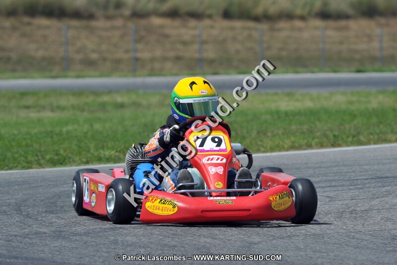 DSC_ (355).jpg